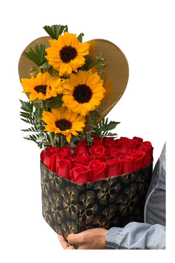 Diseño sin título (11)