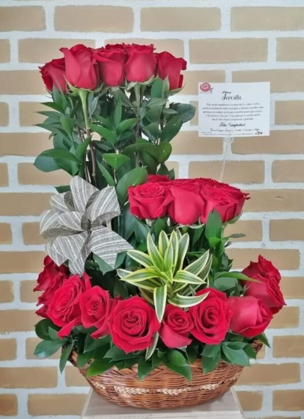 482272238_1032107395603852_3887709324561015349_n