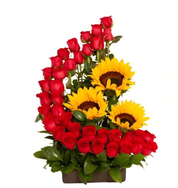 482989576_1038163201664938_7217661944449412675_n