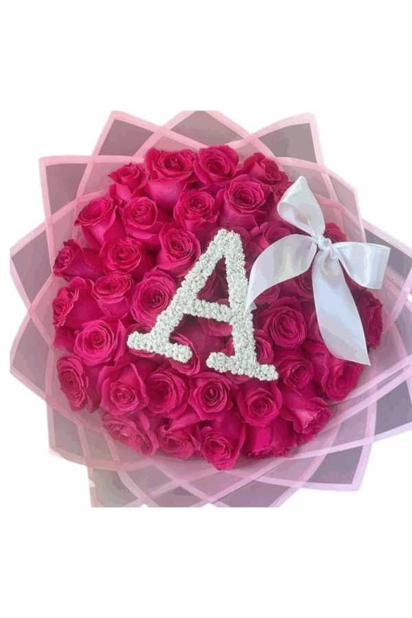 Diseño sin título (10)