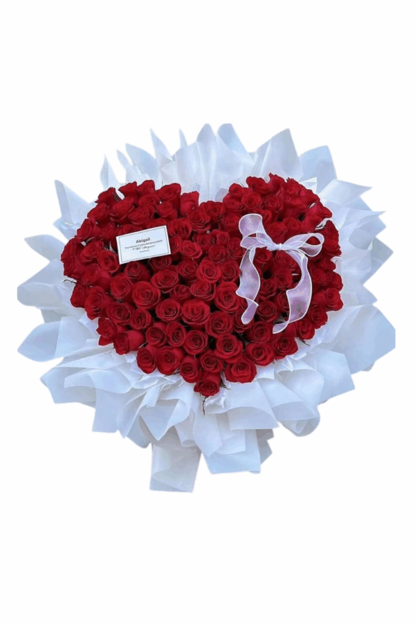 Diseño sin título (12)