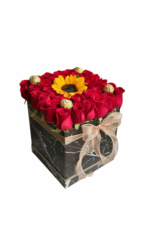 Diseño sin título (15)