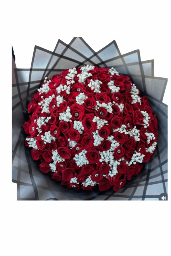 Diseño sin título (17)