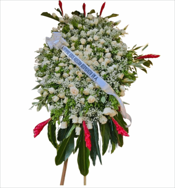 Diseño sin título (5)(1)(1)