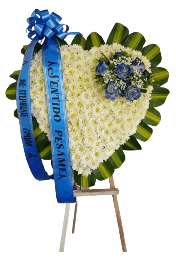 Diseño sin título (6)