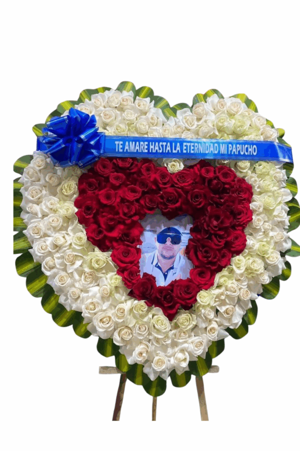 Diseño sin título (7)